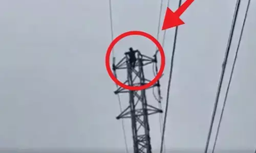 తల్లికి వందనం పడలేదని టవర్ ఎక్కి మరీ