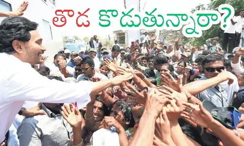 ycp, leaders, red book, andhra pradesh