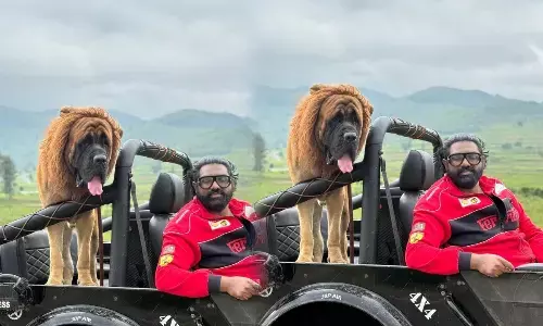 సింహం అని భయపడ్డారు.. తీరా చూస్తే!!