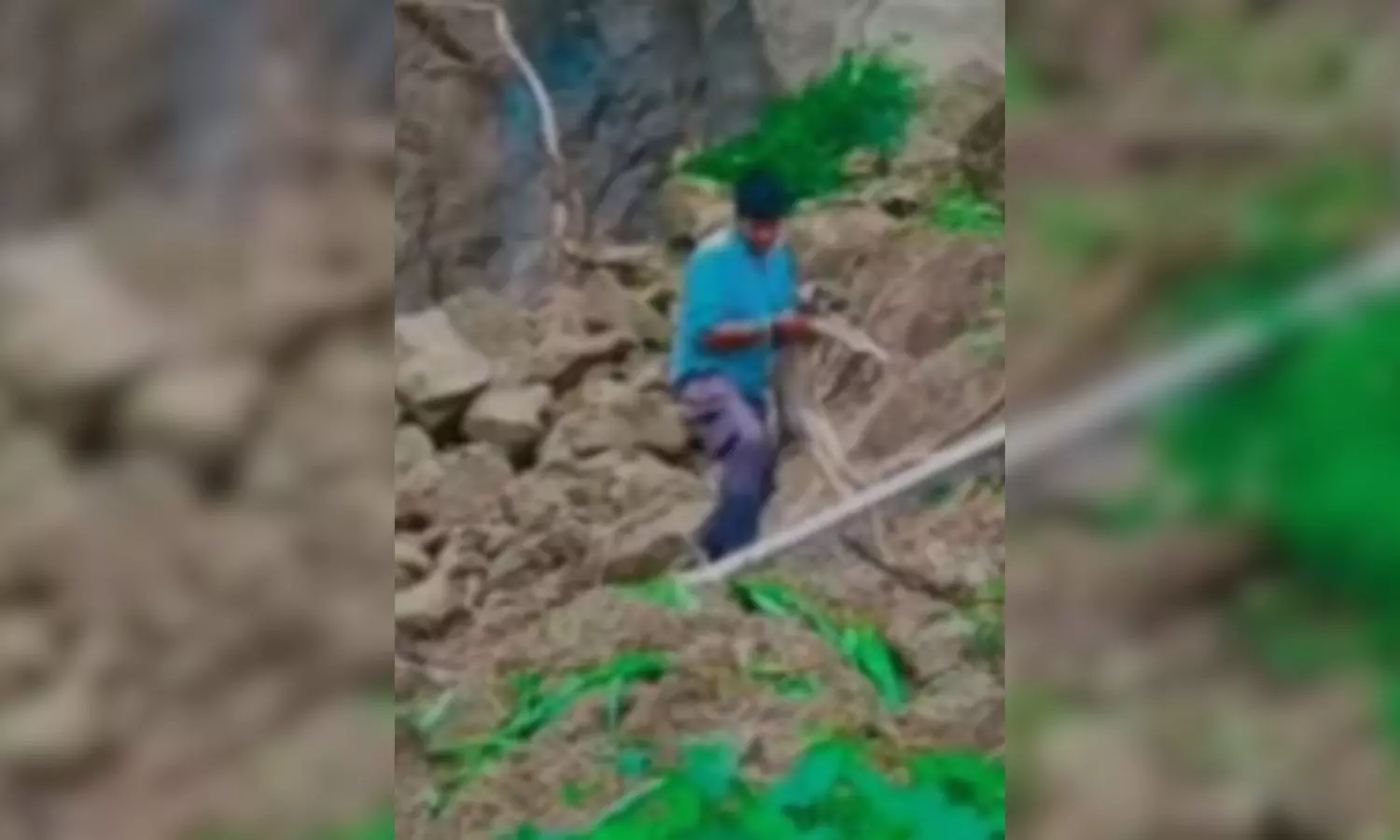 67 మంది ప్రాణాలు కాపాడిన కుక్క