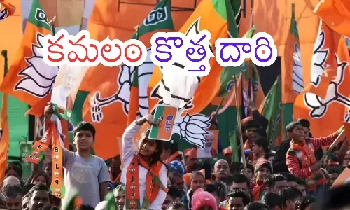 bharatiya janata party, key decisions, telangana, andhra pradesh