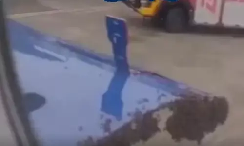 విమానాన్ని ఆపేసిన తేనెటీగలు