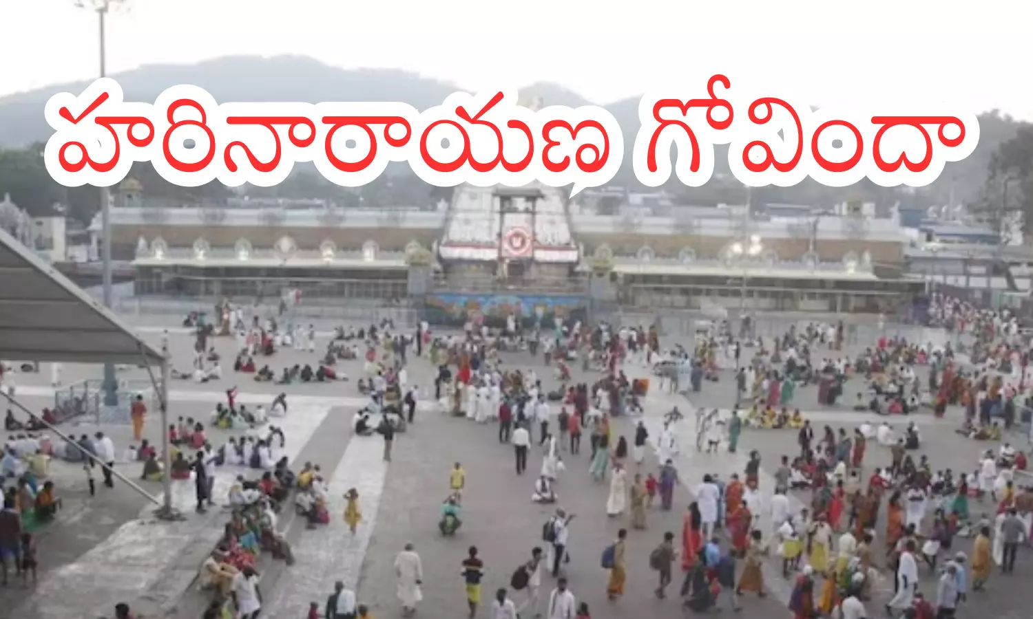 daraan time today in  tirumala, rush, devotees, thursday
