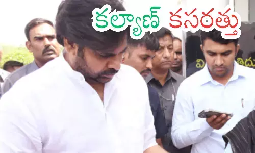 pawan kalyan, deputy chief minister, cadre, ap politcs