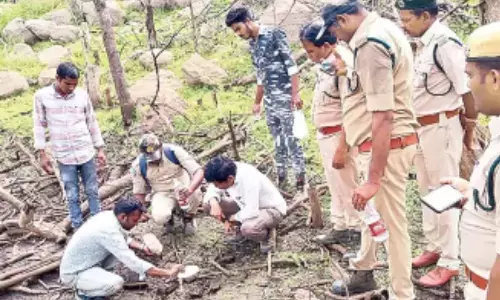 నిజామాబాద్ లో పెద్ద పులి అడుగులు చూసి భయం భయంగా!!