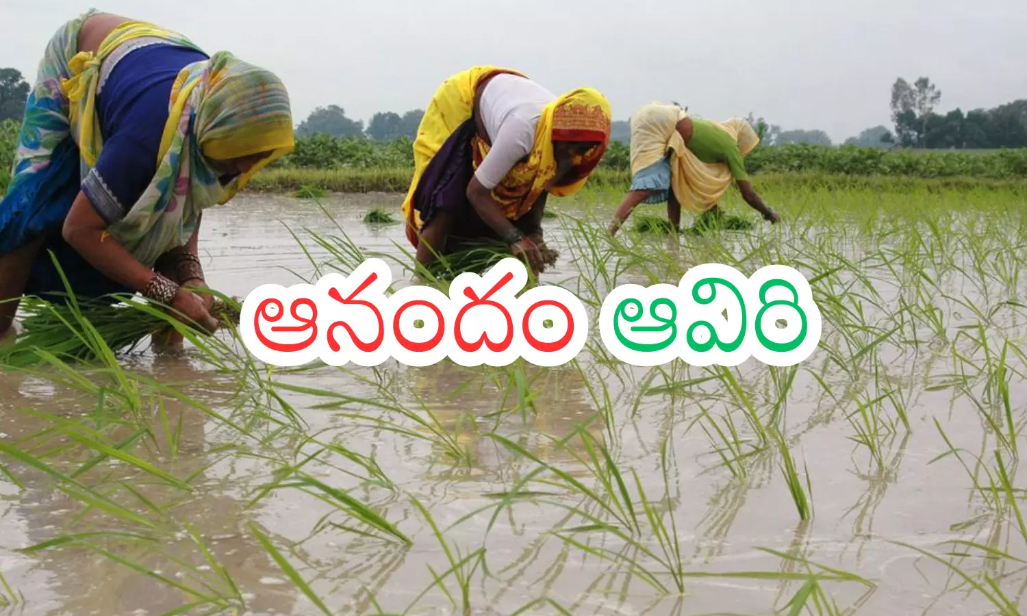 meteorological department,  rains, telangana, andhra pradesh
