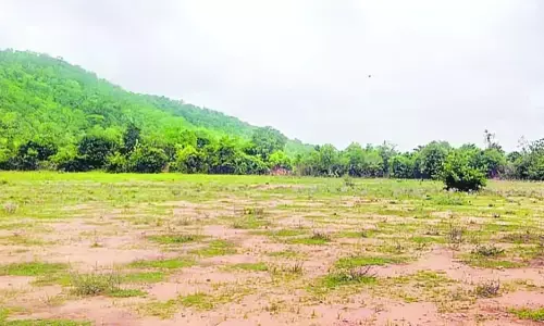 government, key decision, cancel registrations, andhra pradesh