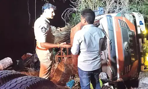 chandrababu, chief minister, expressed shock,  accident