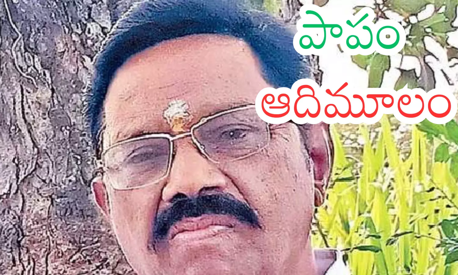 koneti adimulam, tdp, mla,  satyavedu constituency