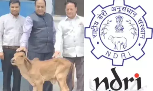 Milk storage ,milk ,India