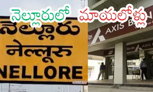 fraud,  rs 10 crores,  axis bank, nellore