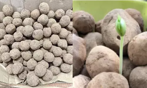 వీటిని ఖాళీ ప్రదేశాల్లో విసిరేస్తే చాలు