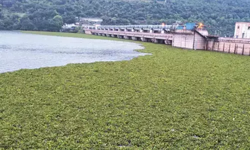 Srisailam : శ్రీశైలం జలాశాయానికి పెరుగుతున్న వరద నీరు