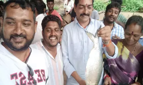 2 కిలోల పులస చేప.. 26,000 రూపాయలు