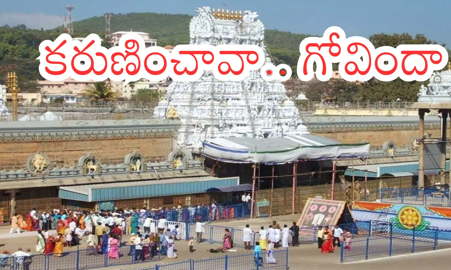 darsan time today in tirumala,  crowd, devotees, thursday