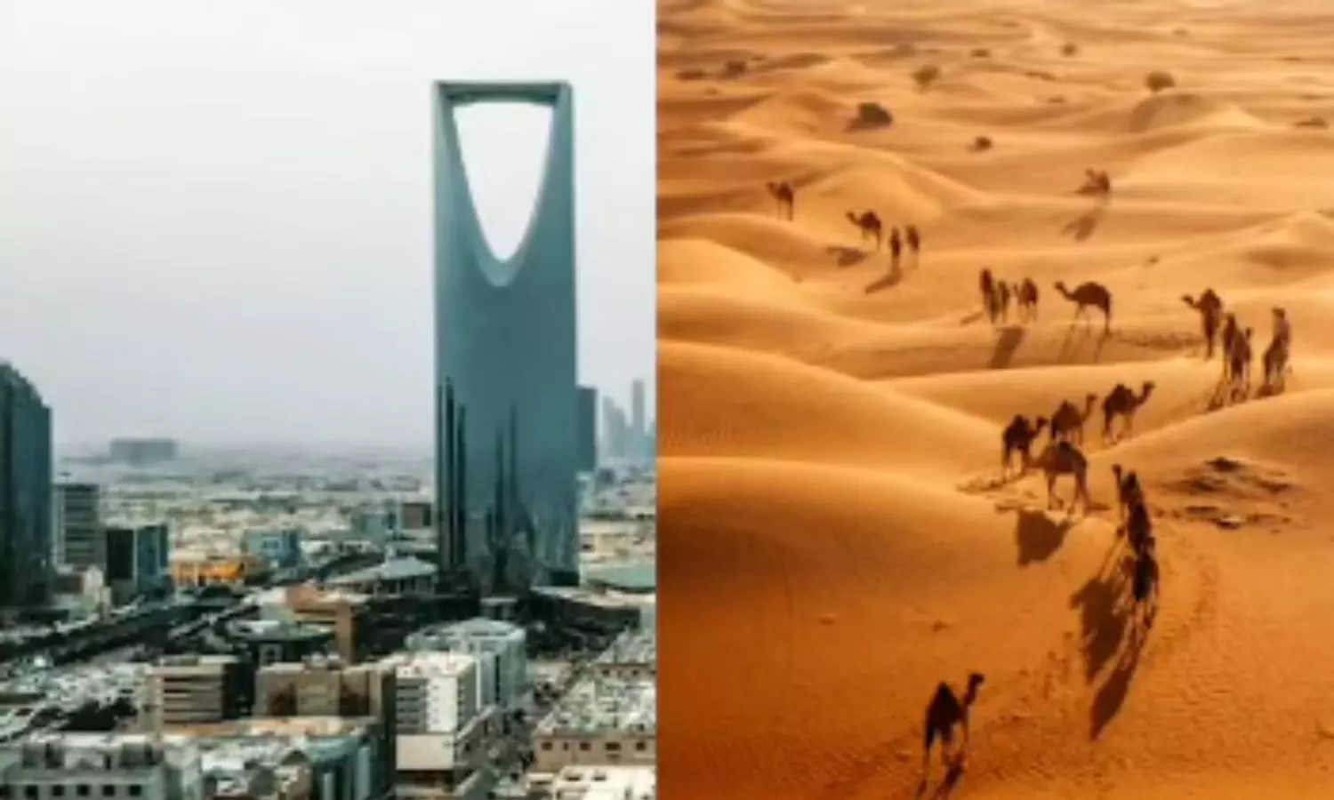 విదేశాల నుంచి కొనాల్సిందే