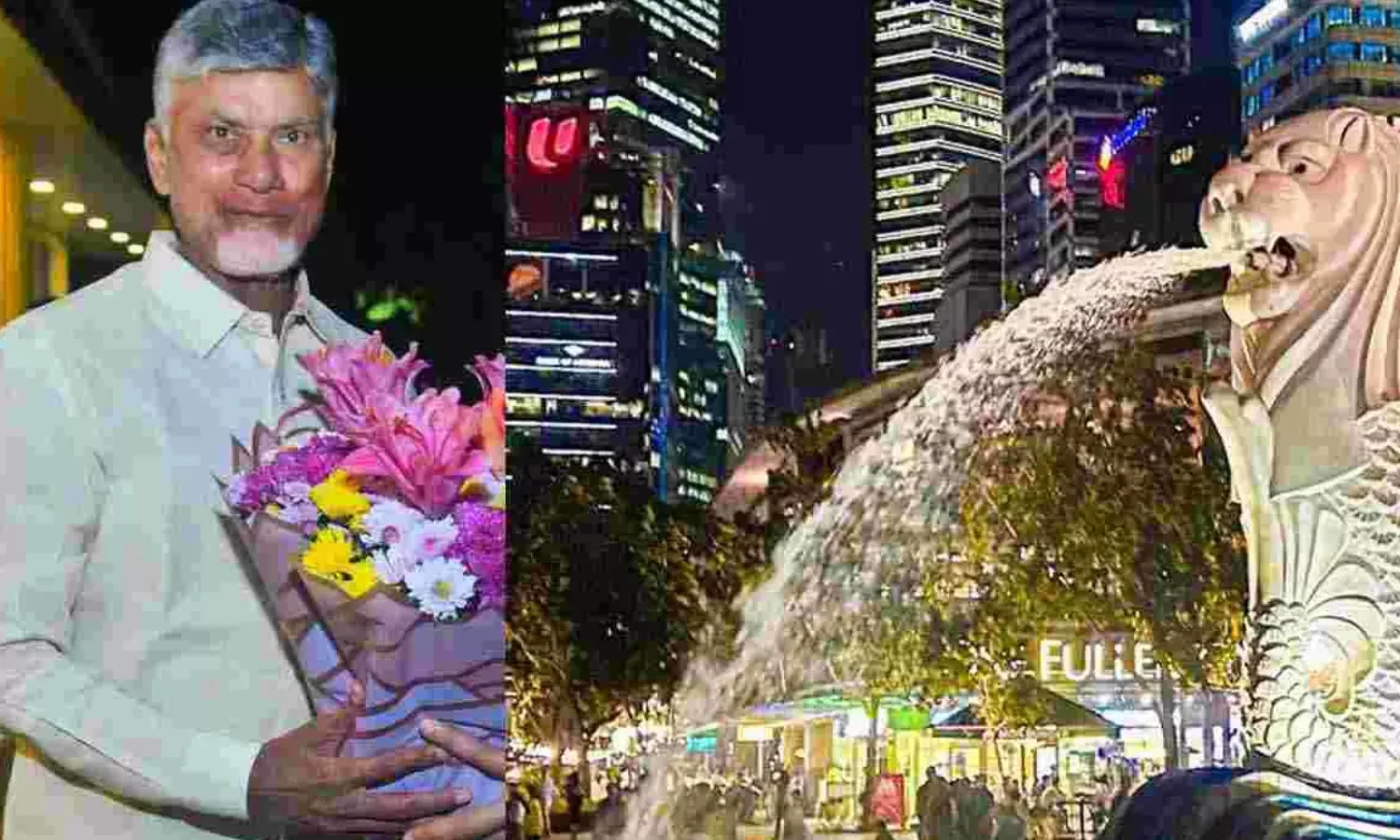 chandrababu, chief minister, singapore, today