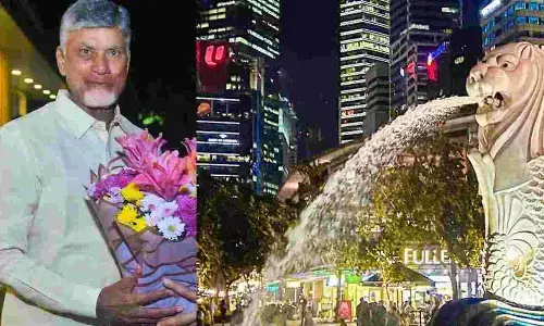 chandrababu, chief minister, singapore, today