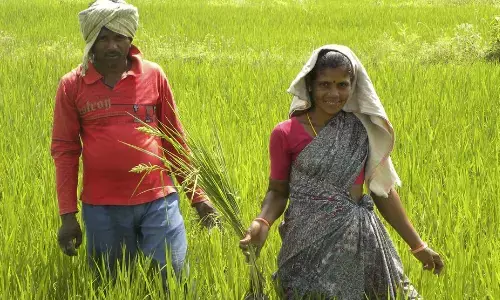 government, good news, farmers, andhra pradesh