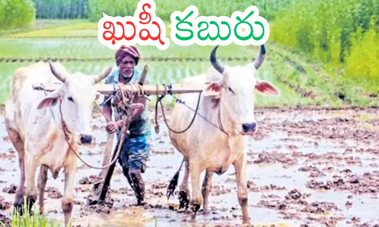 government, good news, farmers, andhra pradesh government, good news, farmers, andhra pradesh