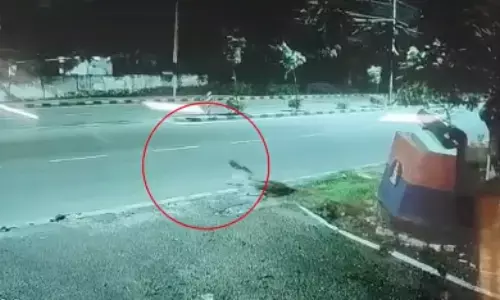 leopard, roaming, panic, hyderabad