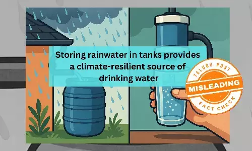 Fact Check: Is Rainwater Safe to Drink? Only After Proper Filtration and Treatment