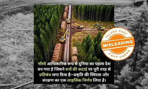 Norway’s Deforestation Ban Misunderstood — No Nationwide Prohibition in Place