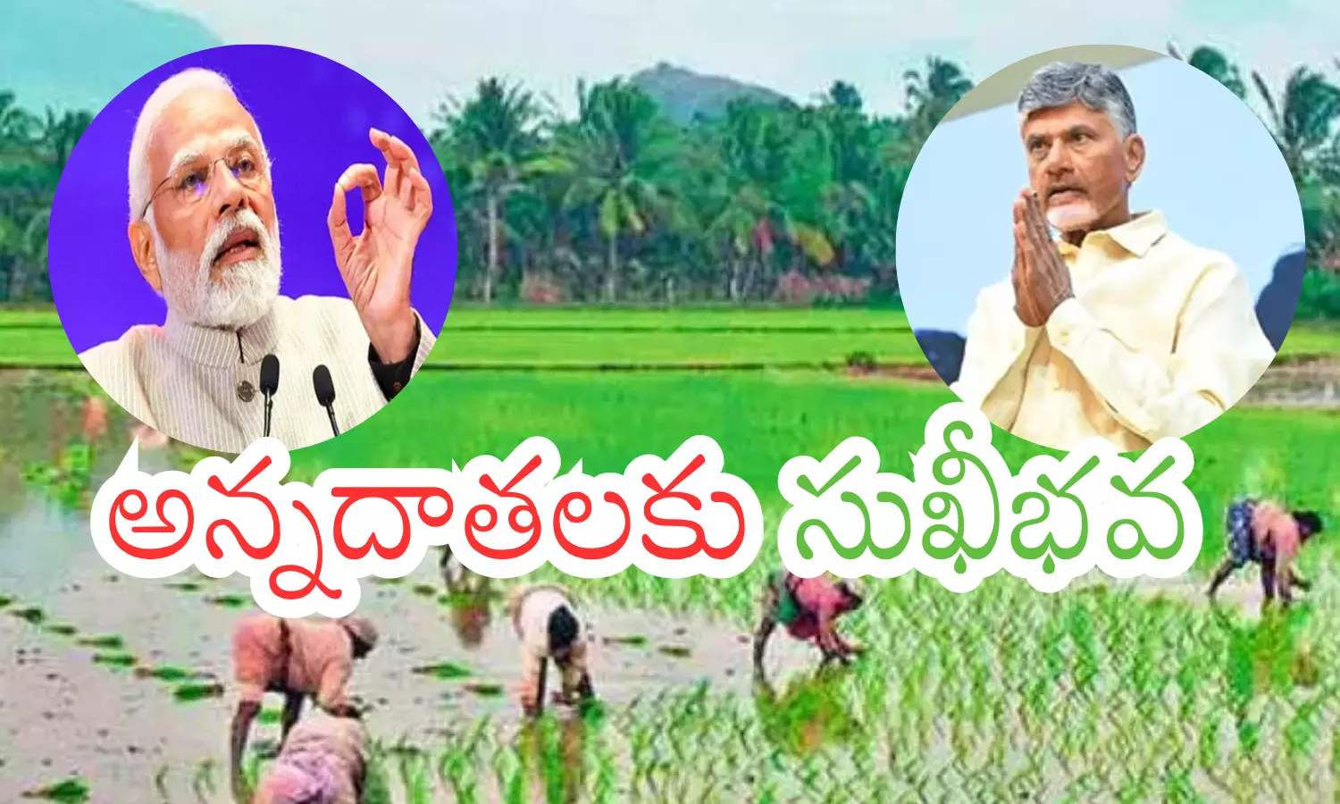 chandrababu,  annadata sukhibhava scheme,  darsi constituency, prakasam district