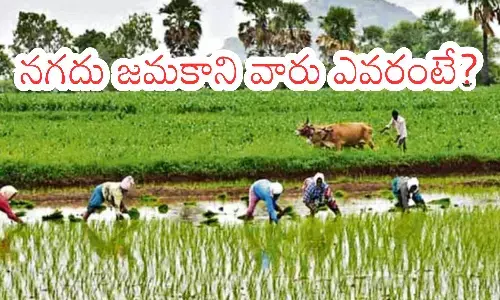 annadata sukhikava scheme, deposited in the accounts,  99.98 percent farmers, andhra pradesh