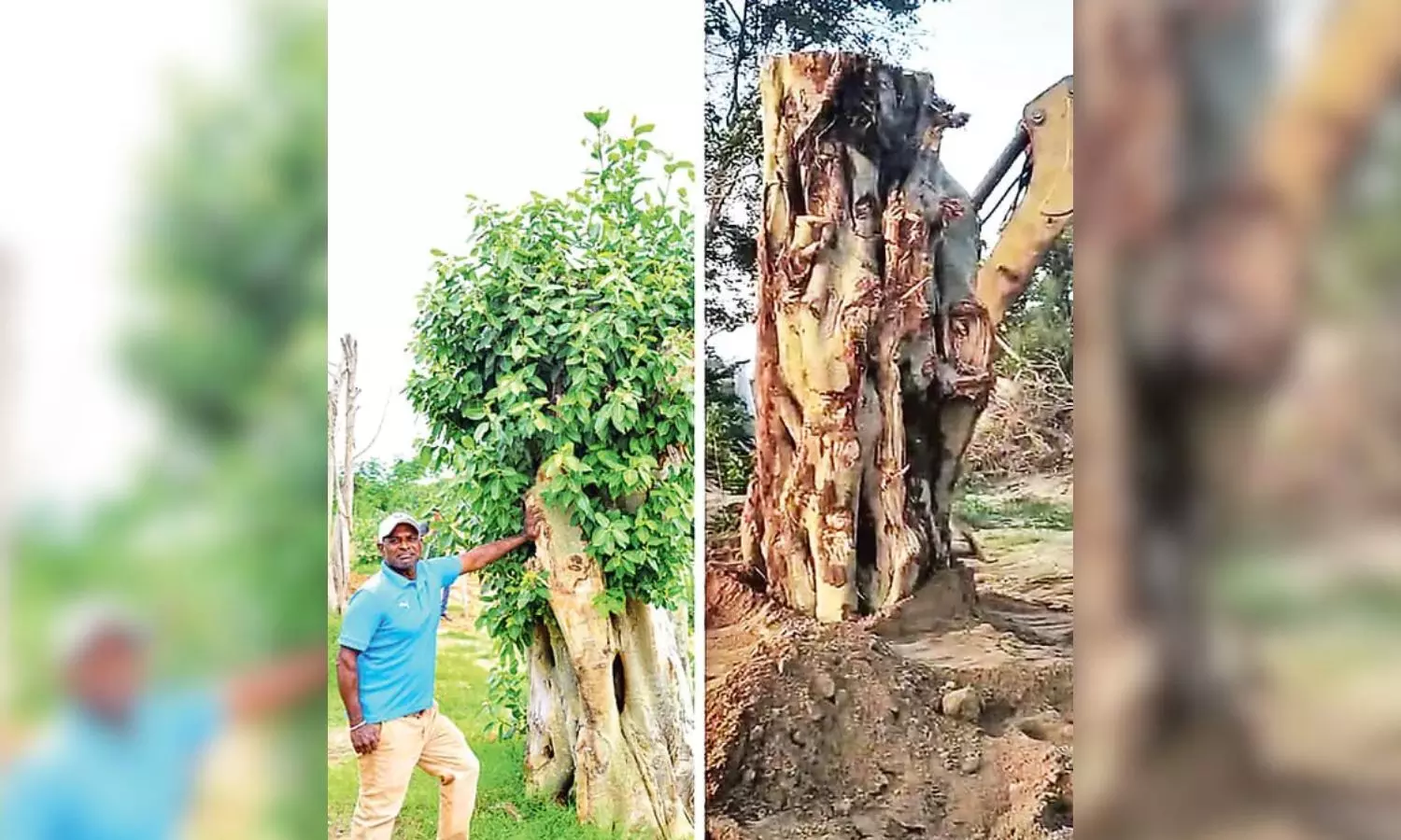 చెట్లకు ప్రాణం పోసిన సత్తయ్య