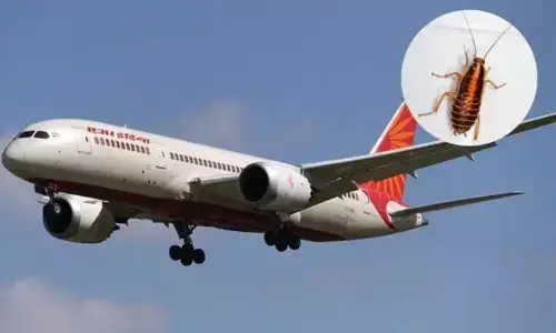 బొద్దింకలతో ఎయిర్ ఇండియా