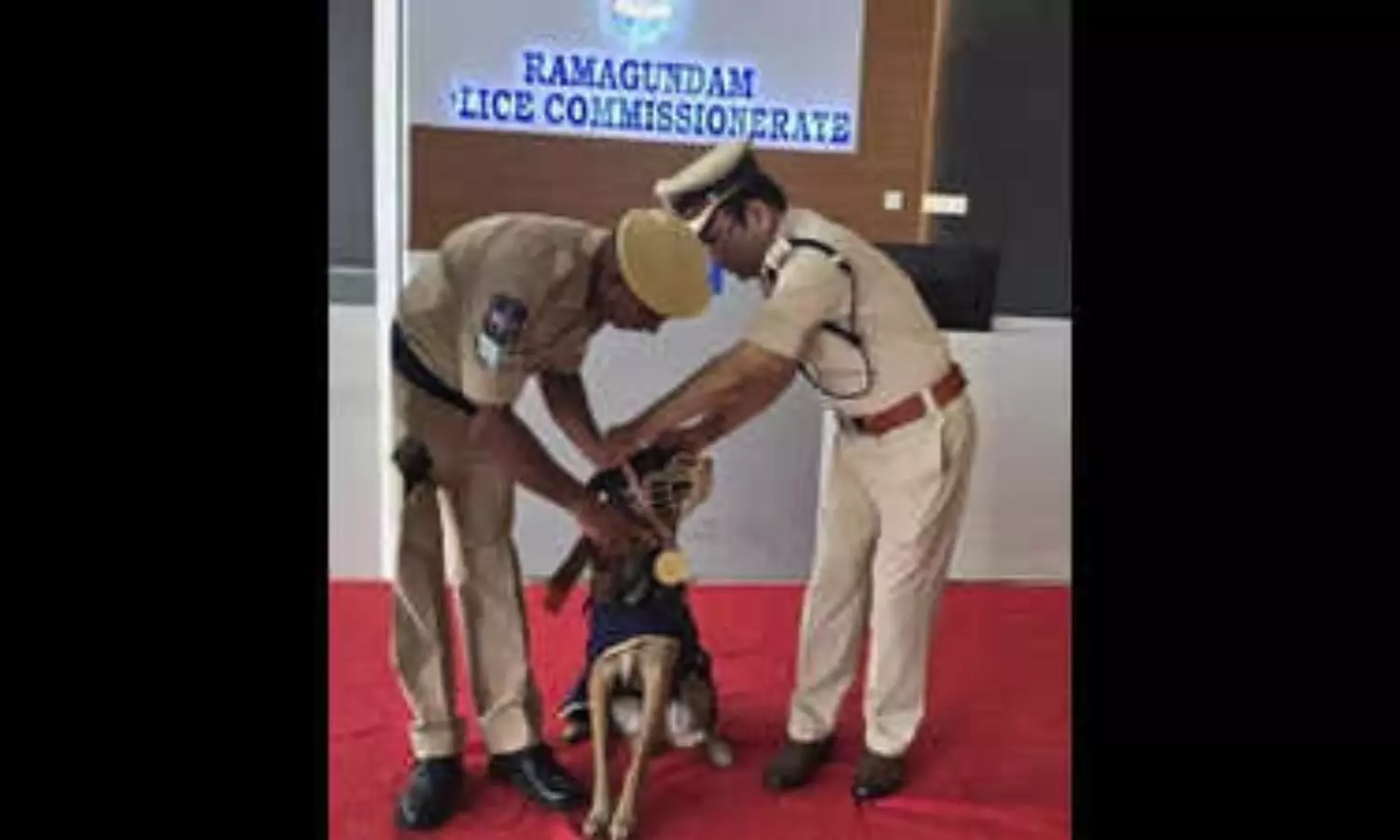 400కు 395 మార్కులు మన సింబా సత్తా