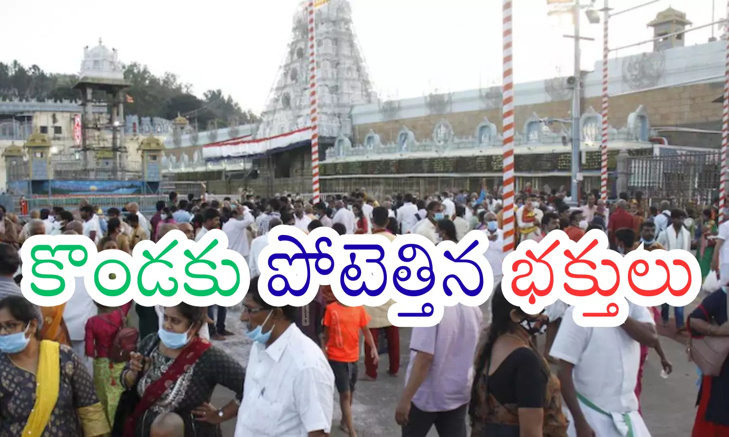 tirumala crowd update, tirumala devotees rush, tirumala today darshan time, trumala holidays crowd