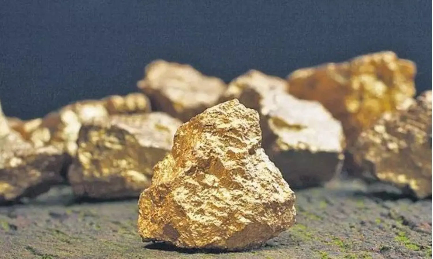 తవ్వితే బంగారం.. భలే దొరికింది