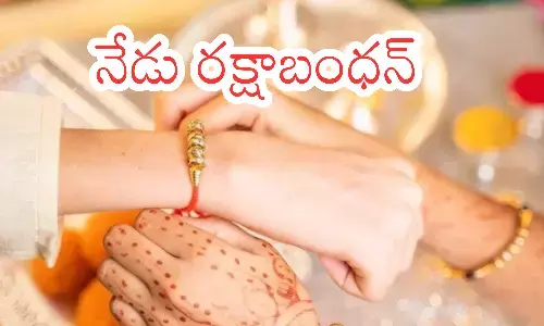 rakhi festival, brother and sister bonding,ptotective bond, importance of rakhi day