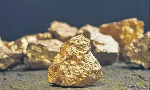 తవ్వితే బంగారం.. భలే దొరికింది