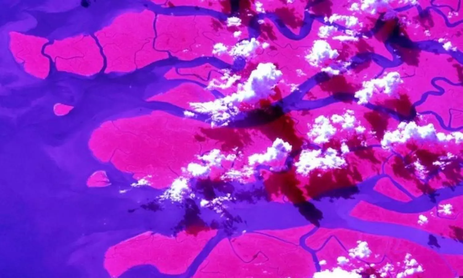 అంతరిక్షం నుంచి గంగా నది డెల్టా