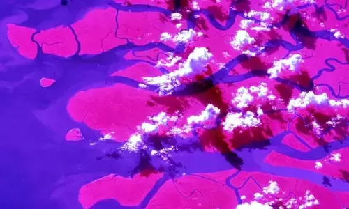 అంతరిక్షం నుంచి గంగా నది డెల్టా