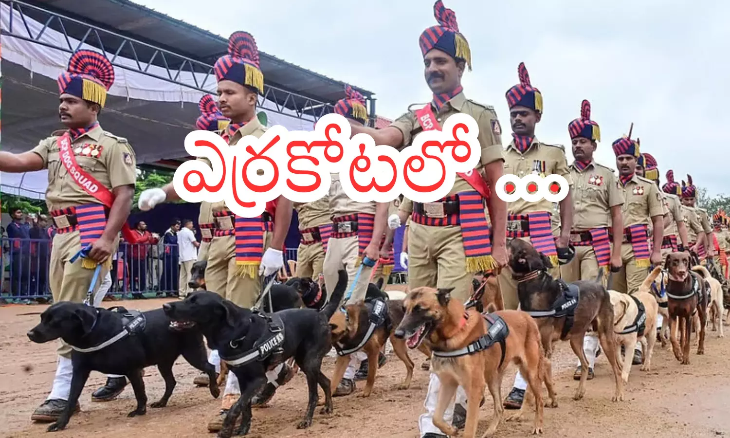 79th independence day celebrations, celebrated with great pomp,  across the country, india