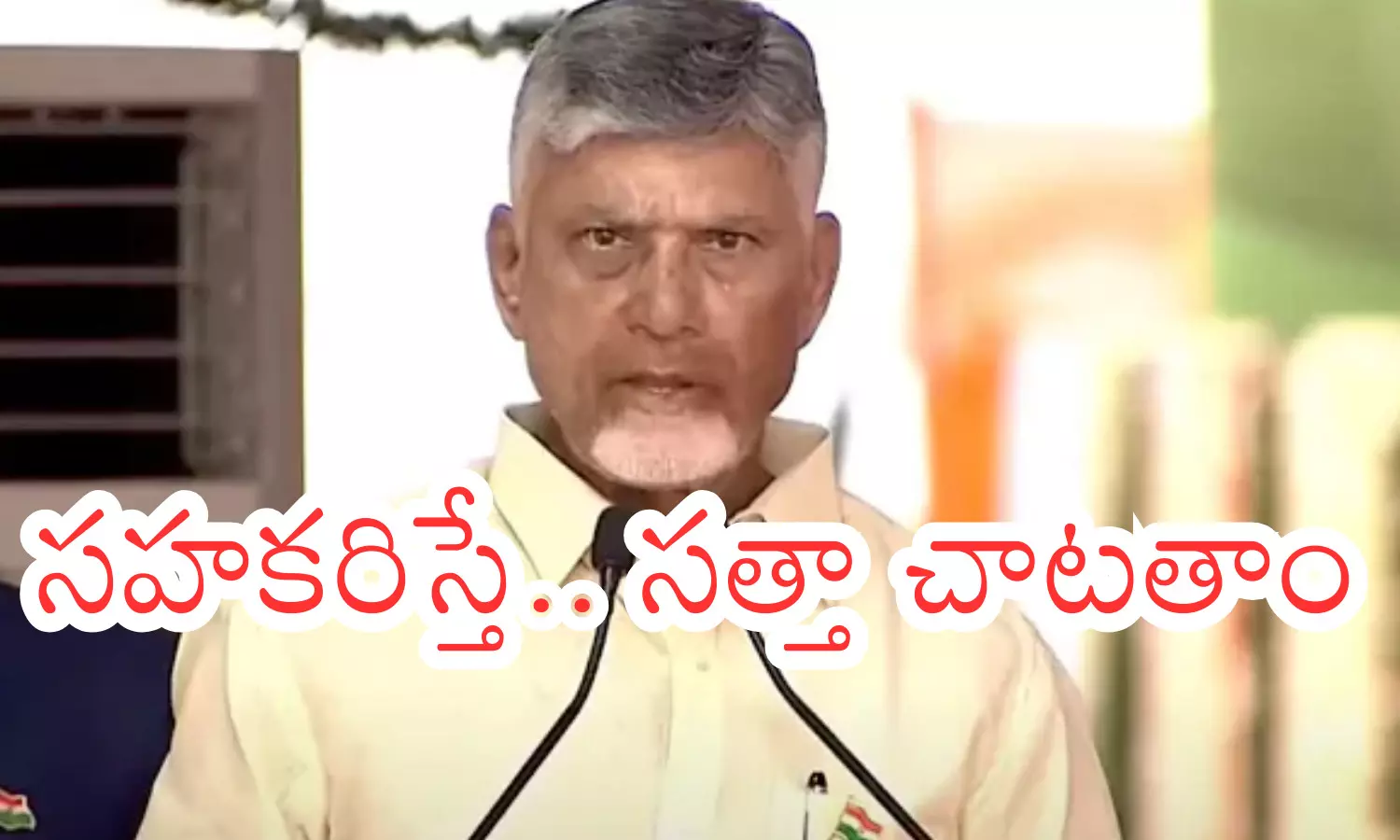 chandrababu naidu, andhra pradesh chief minister, hoisted the national flag, occasion of 79th independence day