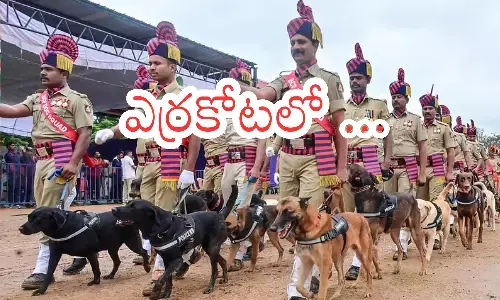 79th independence day celebrations, celebrated with great pomp,  across the country, india