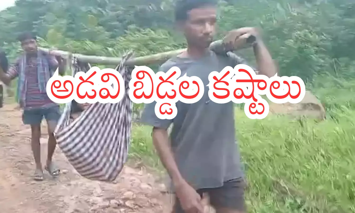 tribal people are suffering, many villages have not been provided with road facilities, doli, andhra pradesh