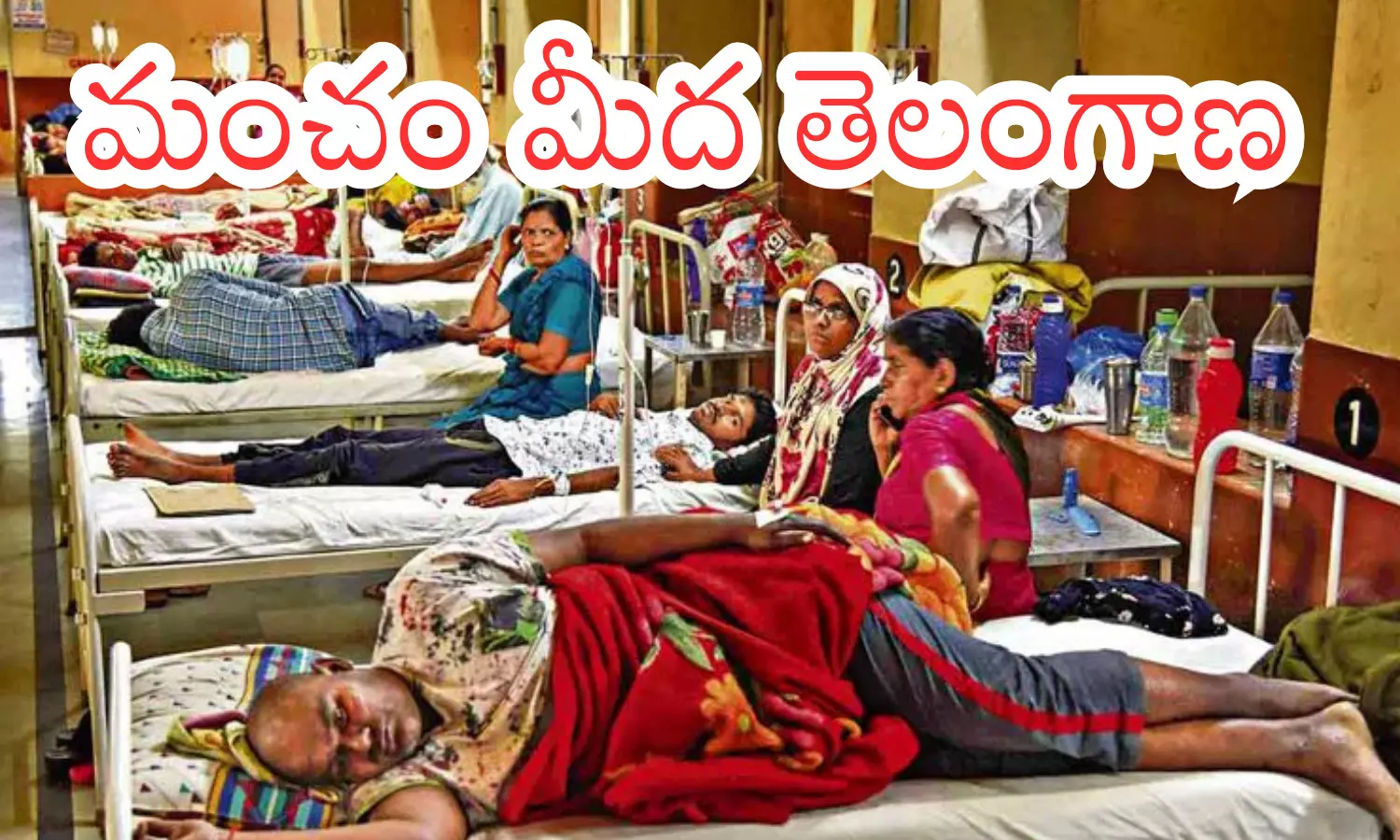 toxic fevers are on the rise, viral fevers like dengue, malaria, typhoid, are on the rise,  telangana