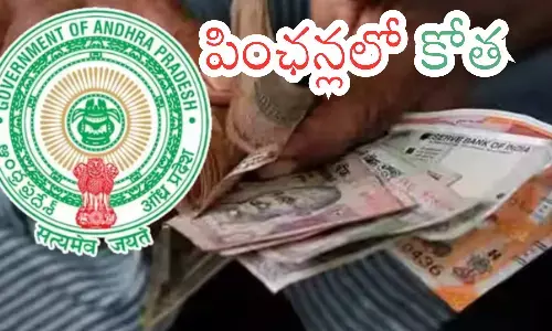 pensions,  alliance government, identified irregularities,andhra pradesh