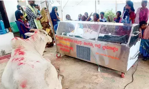 తెలిసిన వ్యక్తి చనిపోయాడు.. ఆంబోతు ఏడుస్తూ!!