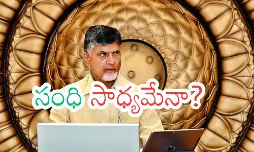 chandrababu naidu, chief minister, resolve differences, andhra pradesh politics