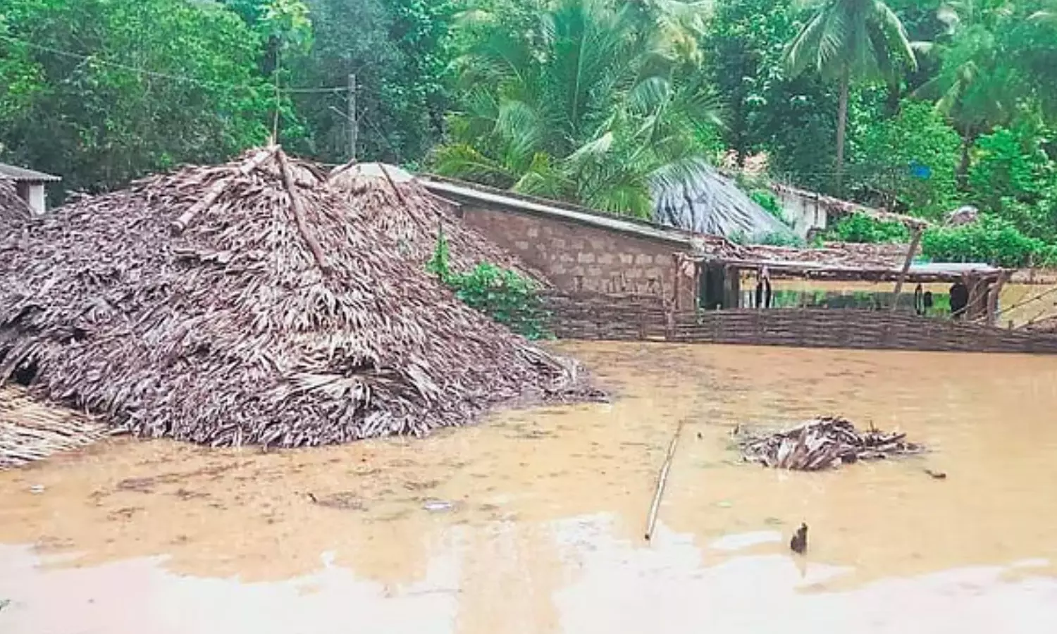 submerged in water, lanka villages, heavy rains, ambedkar konaseema district submerged in water, lanka villages, heavy rains, ambedkar konaseema district