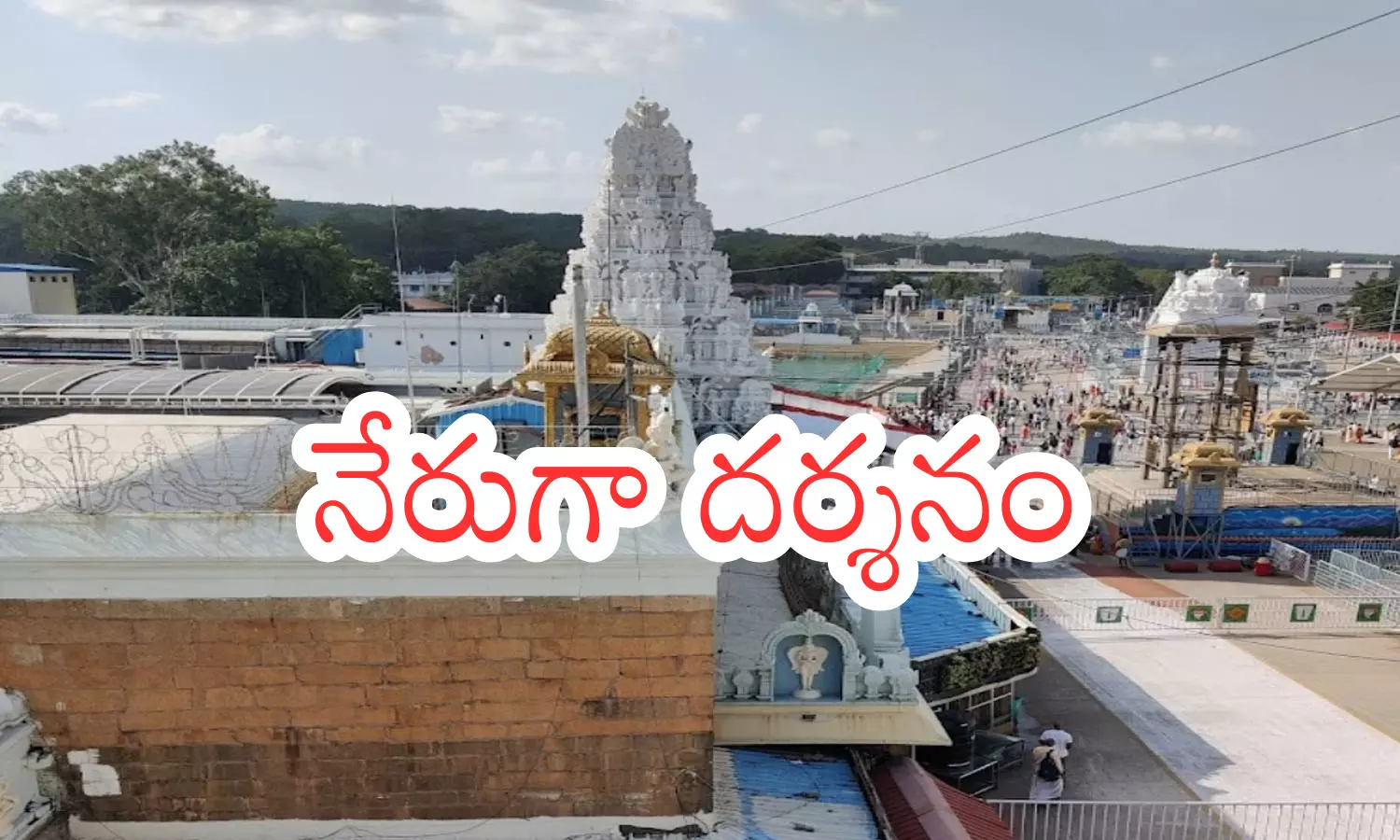 crowd of devotees, reduced in tirumala, direct line, darsan time today in tirumala