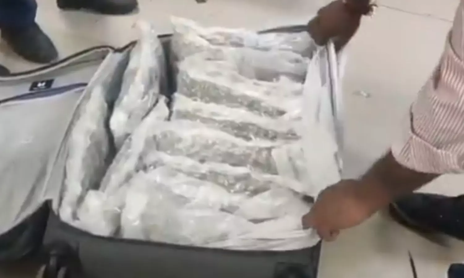 huge drug bust, 5.5 kg cocaine , worth rs 82 crore seized, delhi airport