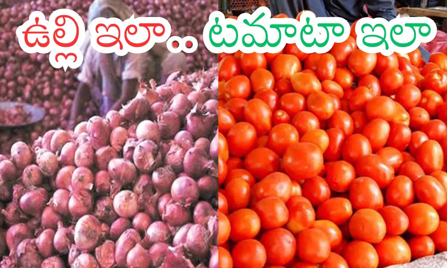 onion prices, fallen, tomato prices, increase